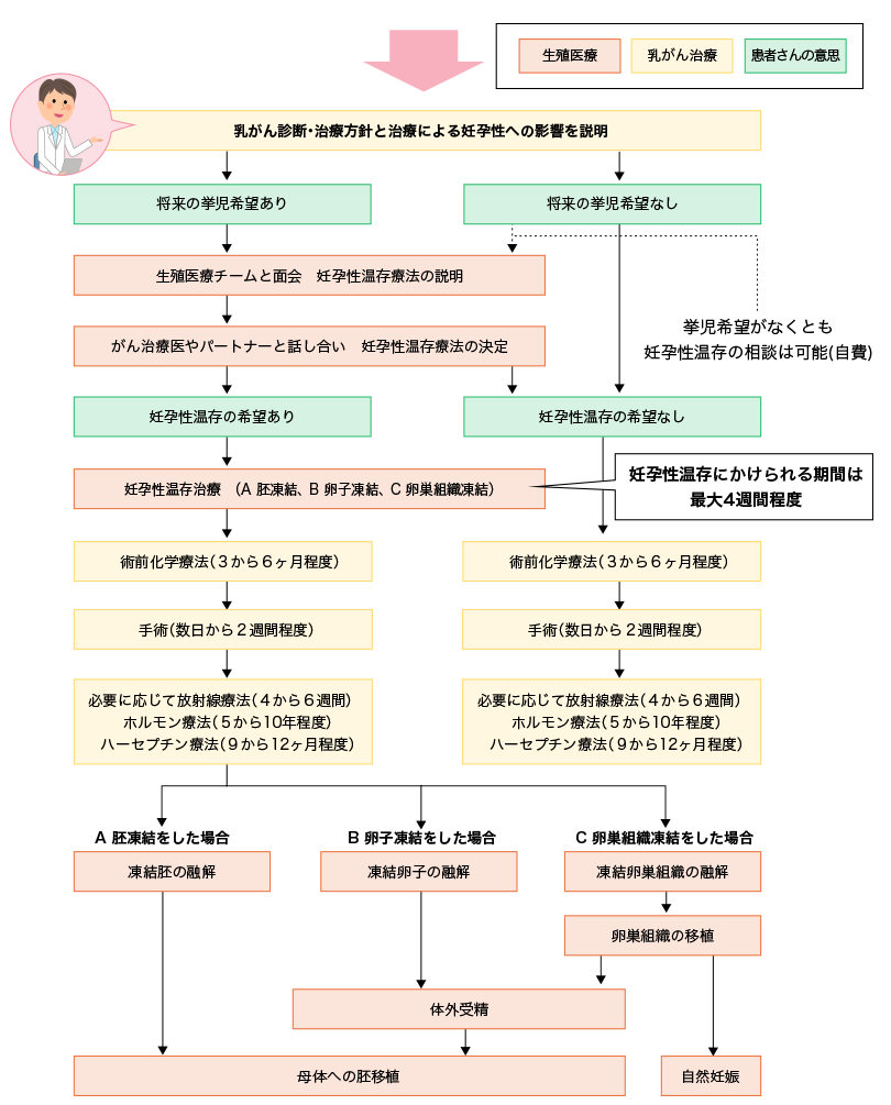 3 乳がんの治療と生殖医療の流れ01